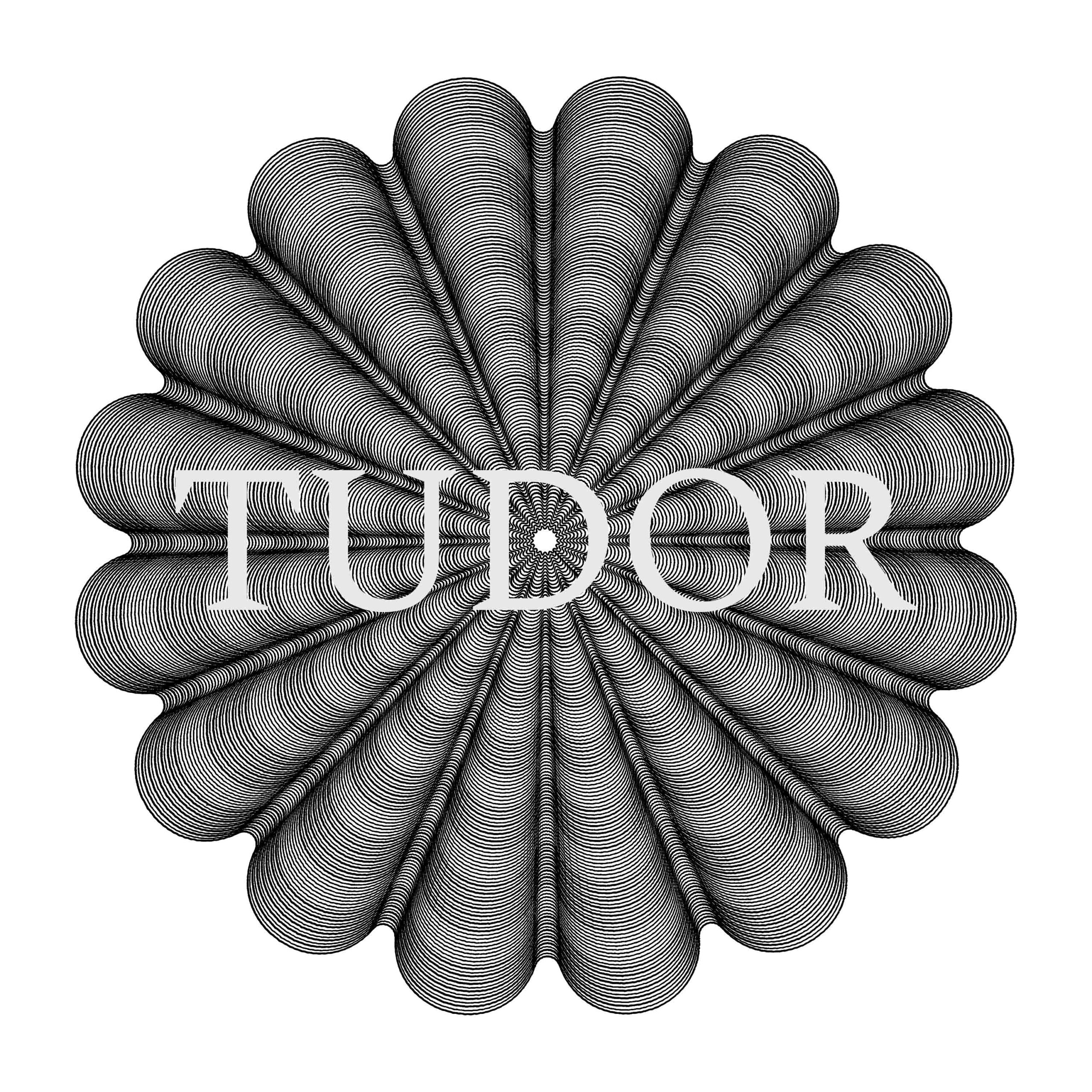 You are currently viewing Tudor Serial number by year